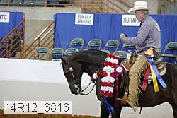 14r12_6816 proof