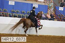 14r12_6873 proof