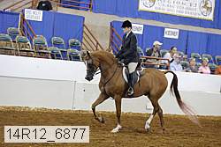 14r12_6877 proof
