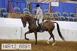 14r12_6891 proof