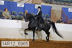 14r12_6965 proof