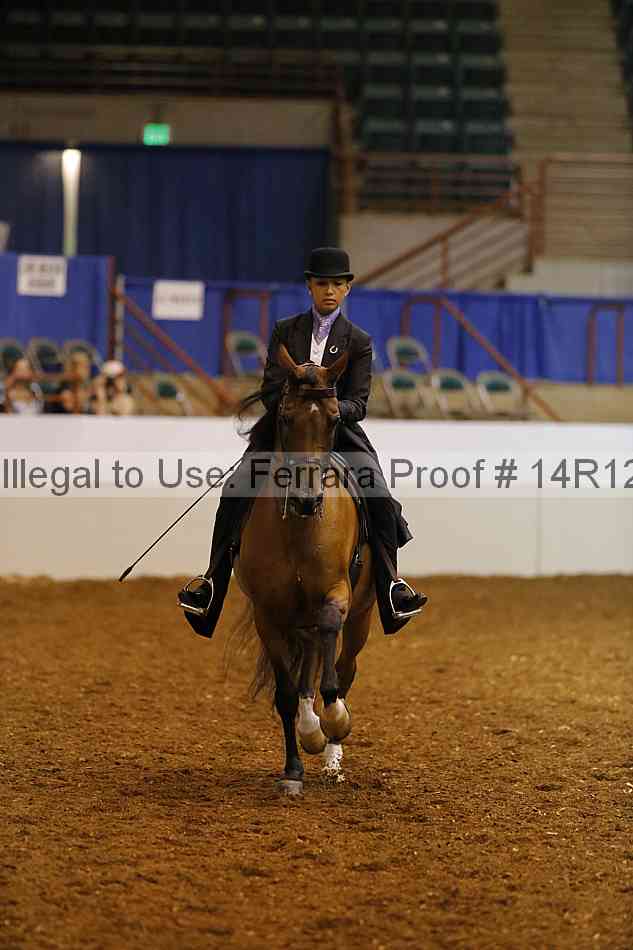 Proof 14r12_6971