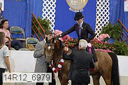 14r12_6979 proof