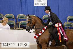 14r12_6985 proof