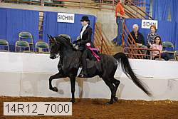 14r12_7000 proof