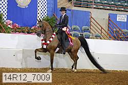 14r12_7009 proof