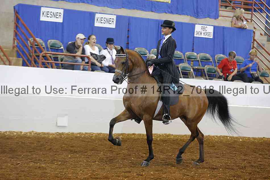 Proof 14r12_7018