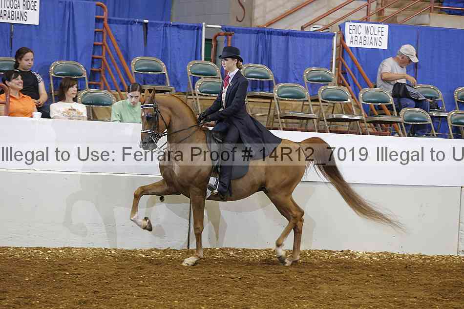 Proof 14r12_7019