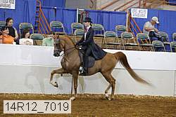 14r12_7019 proof