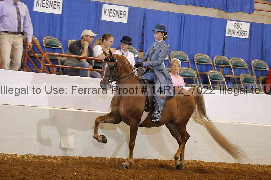 Proof 14r12_7022
