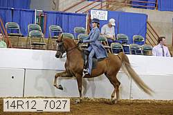 14r12_7027 proof