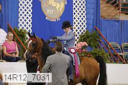 14r12_7031 proof