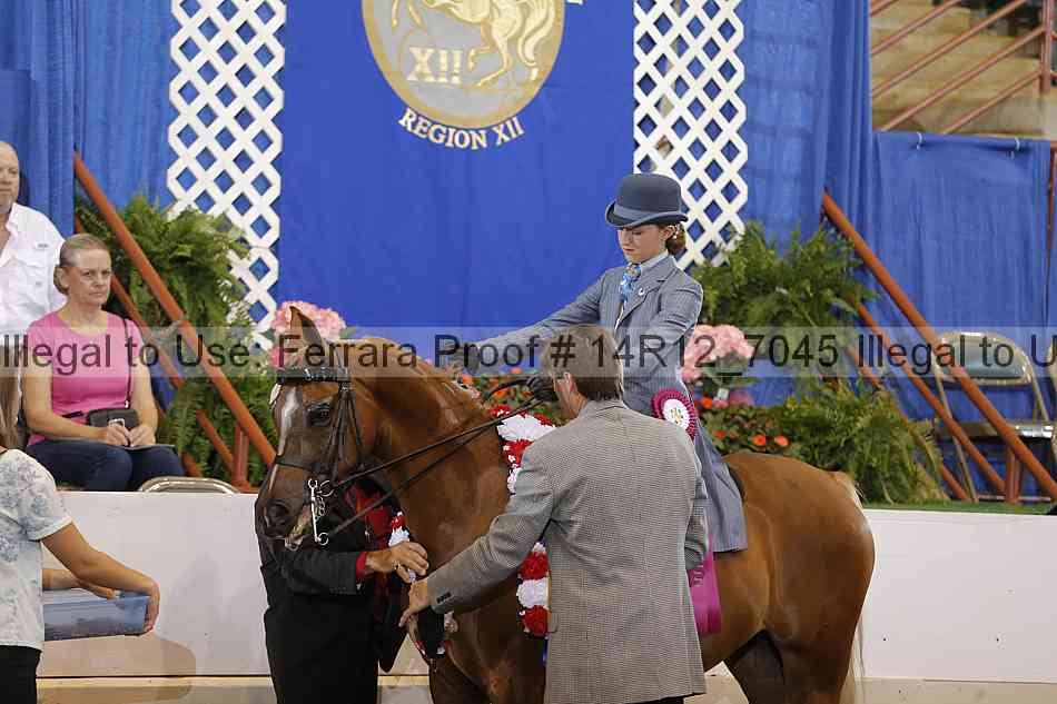 Proof 14r12_7045