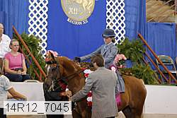 14r12_7045 proof