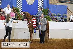 14r12_7046 proof