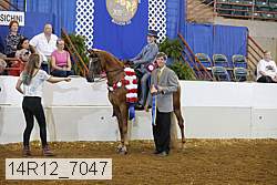 14r12_7047 proof