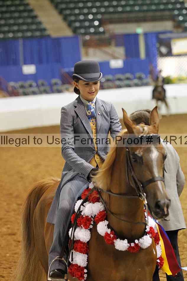 Proof 14r12_7048