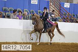 14r12_7054 proof