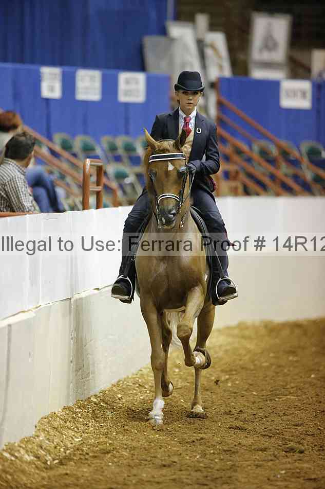 Proof 14r12_7055