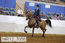 14r12_7056 proof