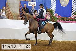 14r12_7058 proof