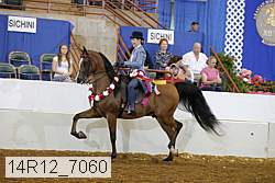 14r12_7060 proof