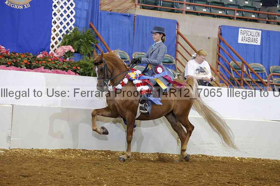 Proof 14r12_7065