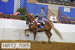 14r12_7065 proof