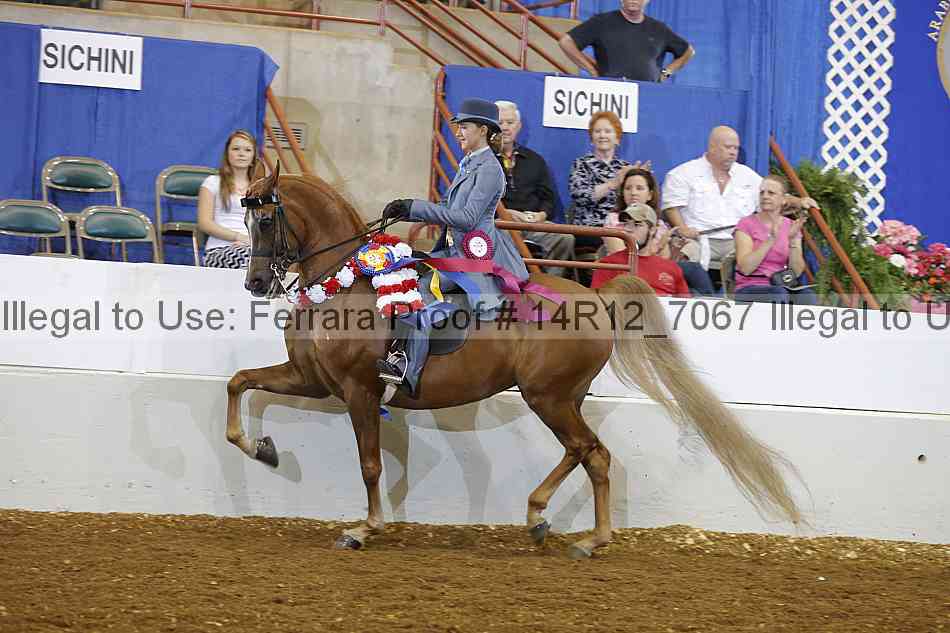Proof 14r12_7067