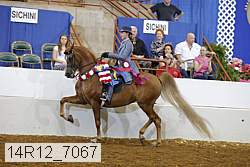 14r12_7067 proof