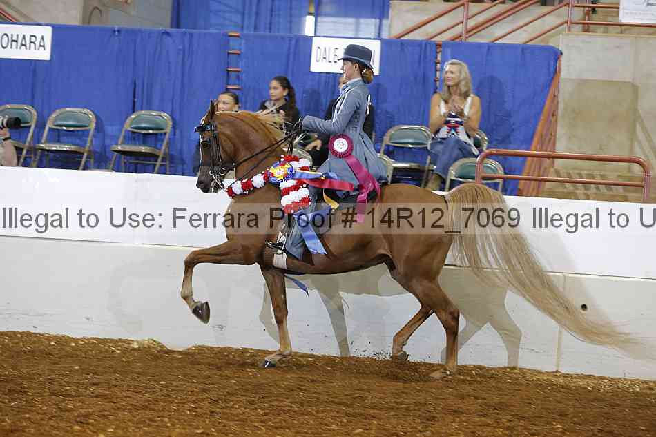 Proof 14r12_7069