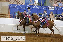 14r12_7072 proof