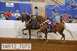 14r12_7073 proof