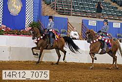 14r12_7075 proof