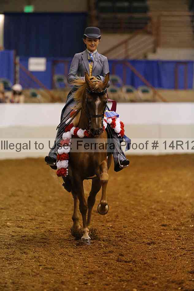 Proof 14r12_7076