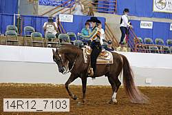 14r12_7103 proof