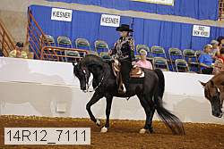 14r12_7111 proof