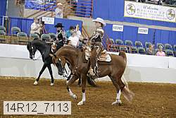 14r12_7113 proof