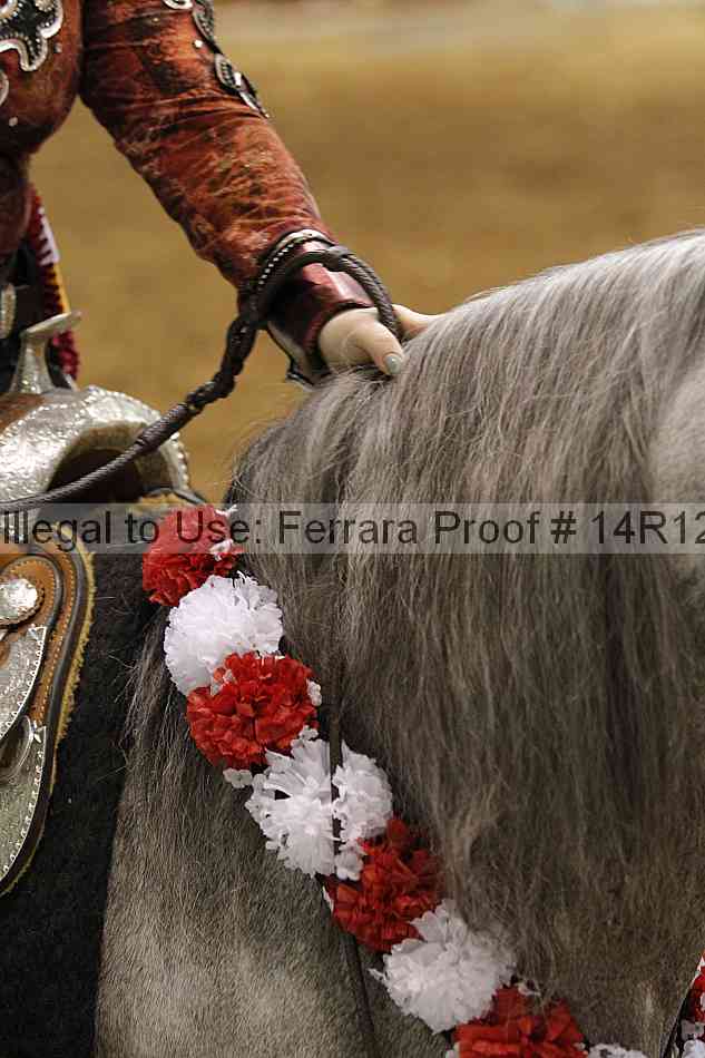 Proof 14r12_7134