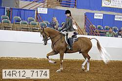 14r12_7174 proof