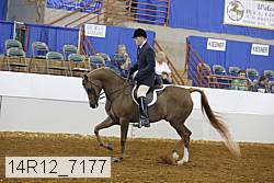 14r12_7177 proof