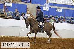 14r12_7186 proof
