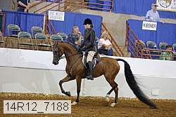 14r12_7188 proof