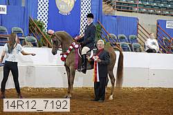 14r12_7192 proof