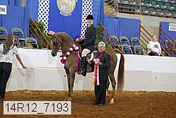 14r12_7193 proof