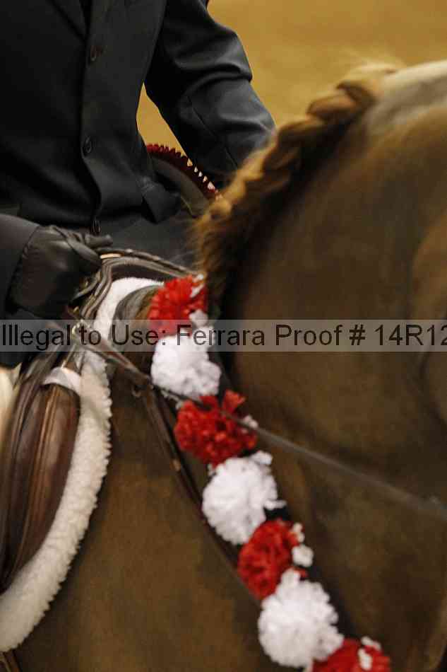 Proof 14r12_7194