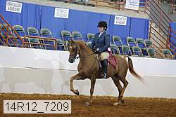 14r12_7209 proof