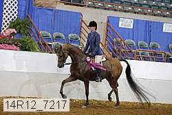 14r12_7217 proof