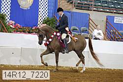 14r12_7220 proof
