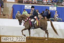 14r12_7222 proof